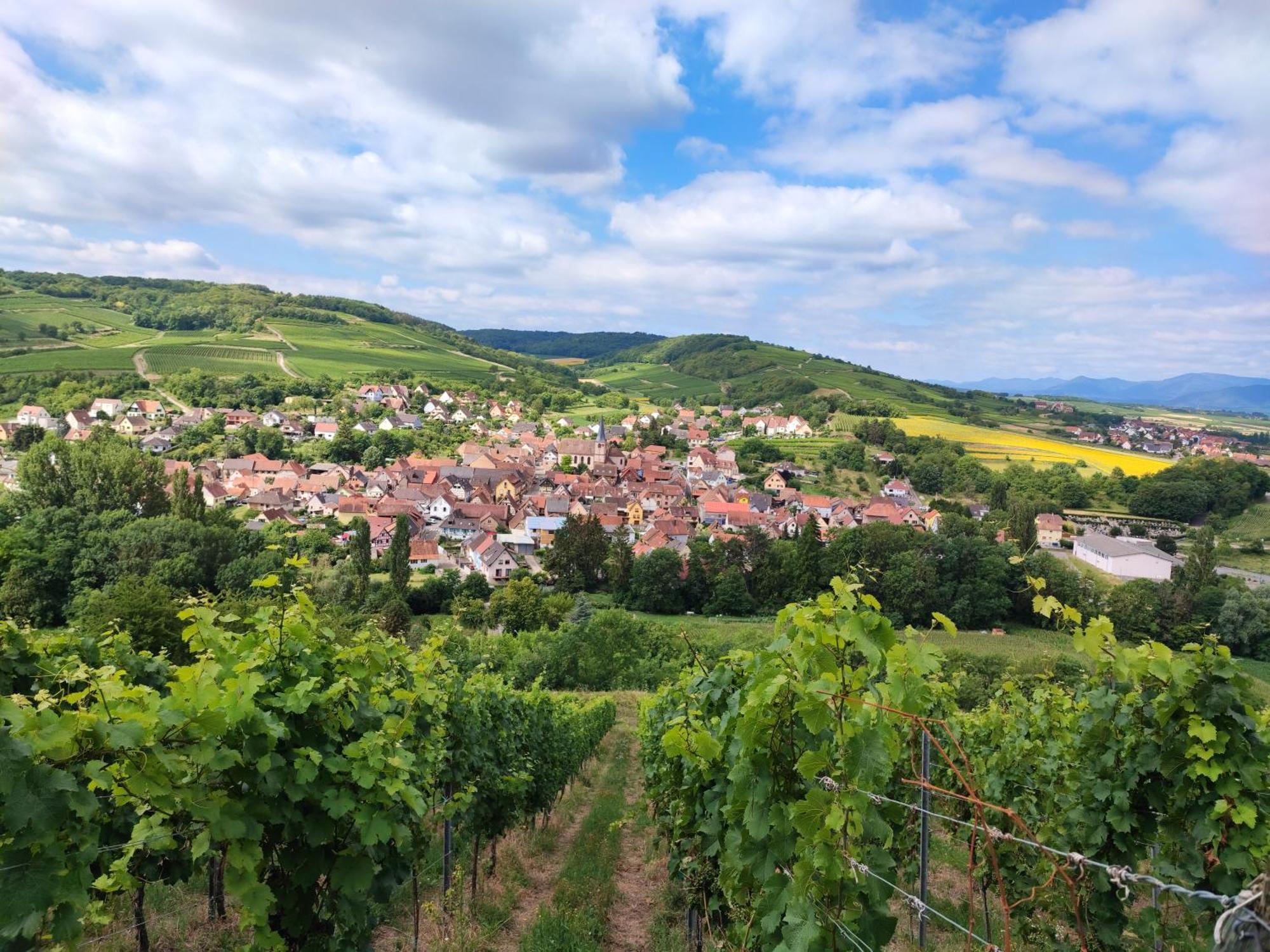 Petit Paradis Croneuva Daire Strazburg Dış mekan fotoğraf